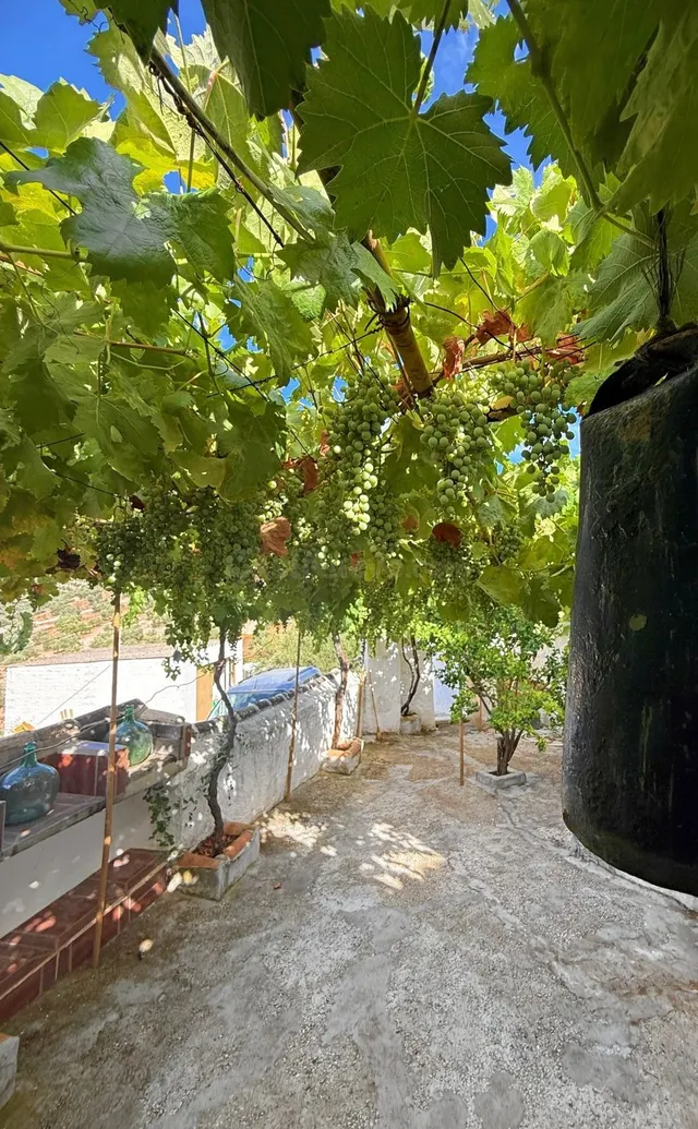 Finca rústica 5 habitaciones 350m² en venta - Andalucia - foto 5