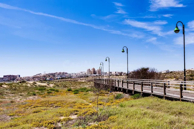 Ático dúplex de 2 dormitorios con gran solárium privado a 100 m de la playa de La Mata — 34