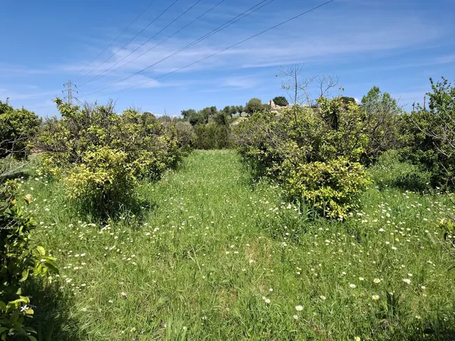 Terreno rústico de 3.413 m2 en Alhaurín de la Torre para proyectos rurales — 14