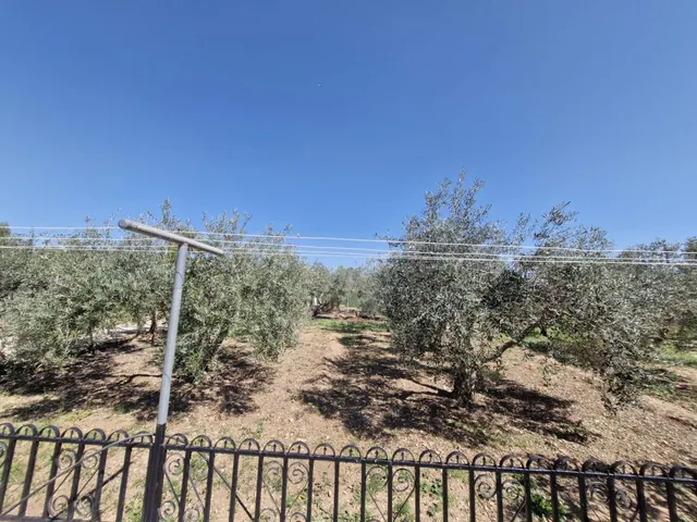 CASA CON TERRENO EN HONDON DE LAS NIEVES — 25