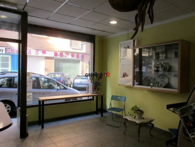 LOCAL COMERCIAL EQUIPADO PARA PELUQUERÍA CANINA — 4