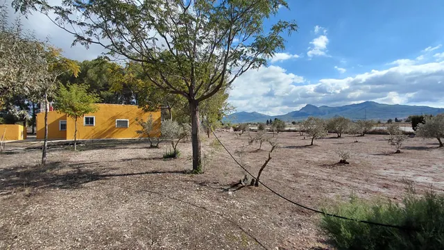Casa de campo con parcela vallada, pinada, zona de olivos y  - foto 3
