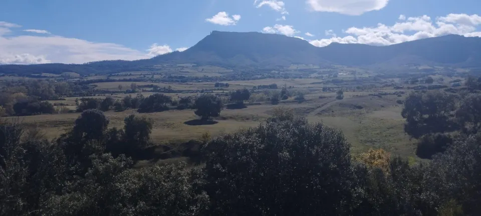 TERRENO URBANIZABLE DE CASI 6 HECTAREAS