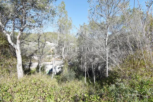 TERRENO EN MAS ALBA — 11