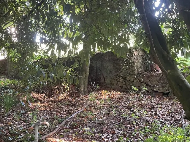 CASA SEÑORIAL DE 1807 CON FINCA DE 6.500M2. PERFECTA CASA RURAL — 50