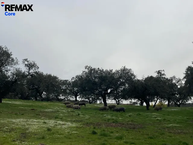 Preciosa Dehesa Extremeña - foto 4