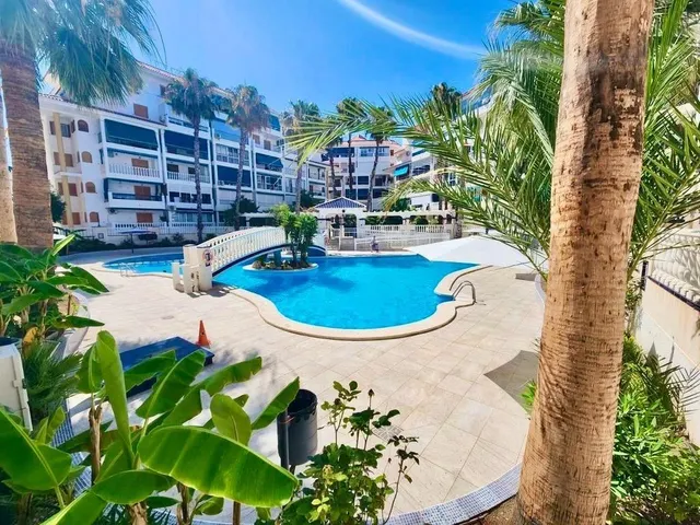 PISO EN PLANTA BAJA CON AMPLIA TERRAZA Y PISCINA EN VIÑAMAR 4, LA MATA — 23