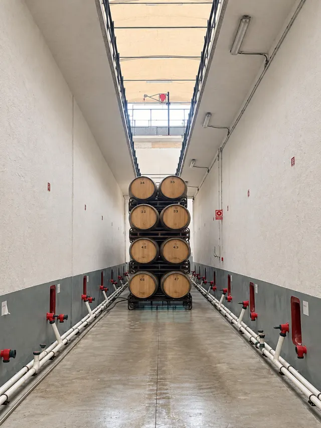 BODEGA DE PRODUCCIÓN D.O. PENEDÈS — 12