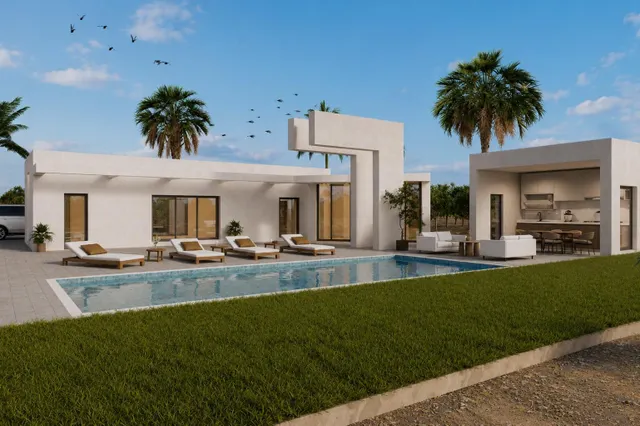 Villa de obra nueva en parcela rústica de 11.559 m2 en Benejúzar — 13