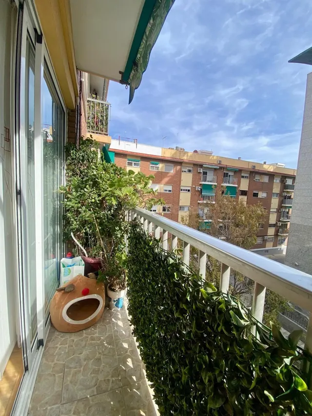 PISO EXTERIOR JUNTO A LOS JARDINES DEL TURIA — 5
