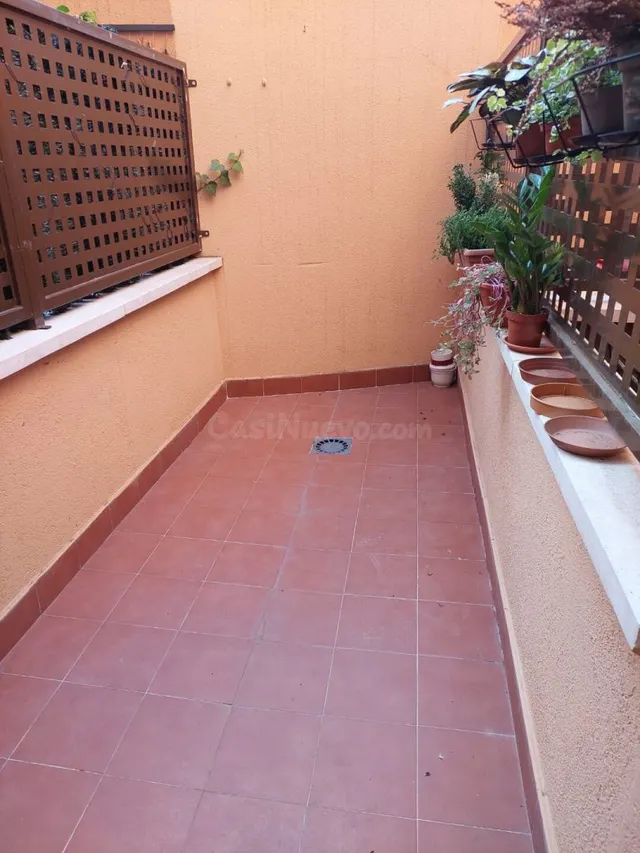 Alquiler de apartamento en El Molar - foto 4