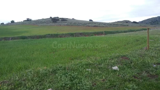 GRAN TERRENO RUSTICO EN CIUDAD REAL - foto 4