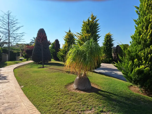 Chalet de lujo en venta en Aspe — 50