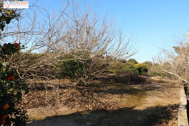 Conjunto de parcelas en Canet de Berenguer (zona gasolinera) — 14