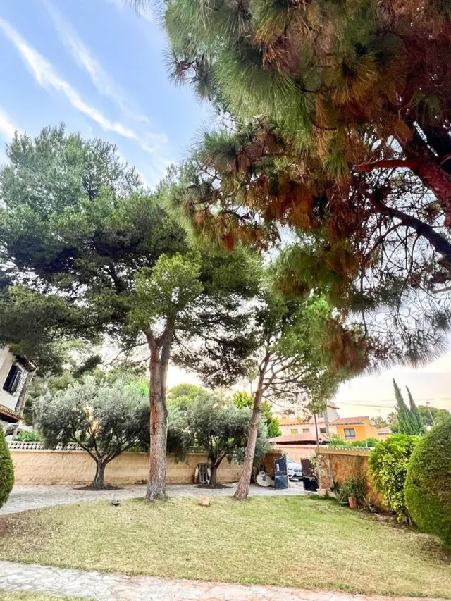 Villa 4 habitaciones 200m² en venta - Rocio del Mar — 9
