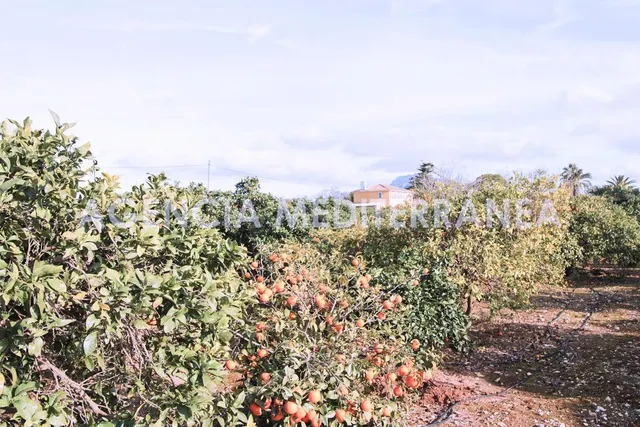Finca de 8.400m2 con casa de campo en plena naturaleza en On - foto 3