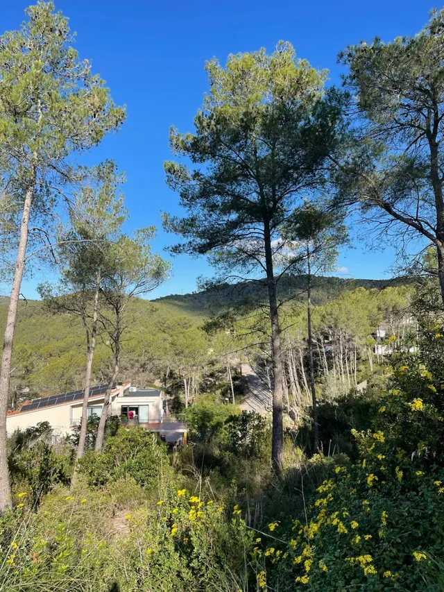 Olivella Mas Mestre parcela de 1200 m2 — 4