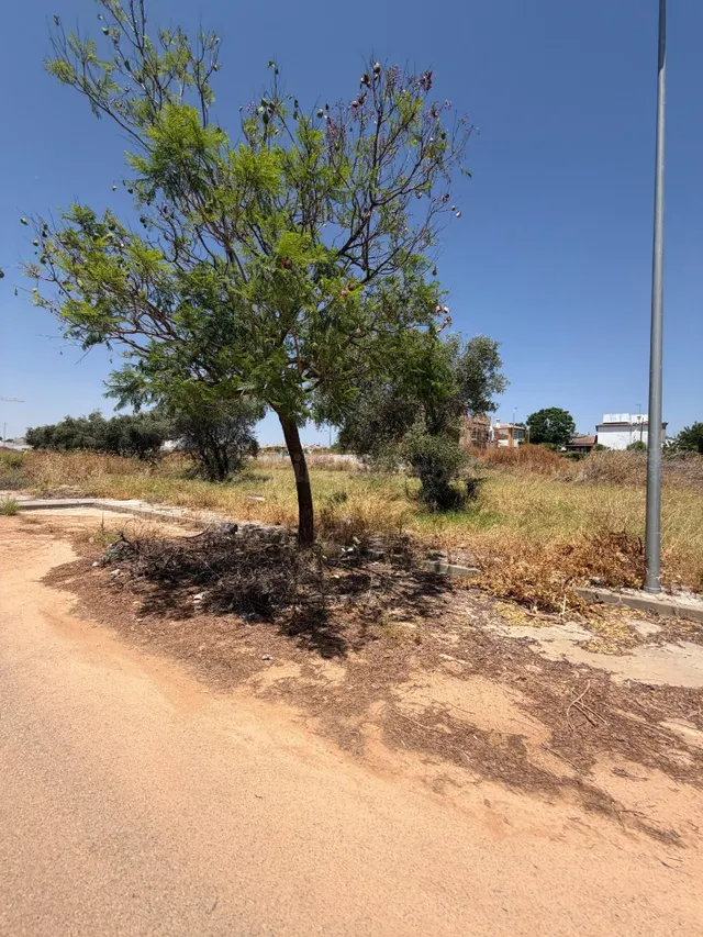 PARCELA URBANA DE 551 M2 EN ESPARTINAS – ÚLTIMA OPORTUNIDAD  - foto 4