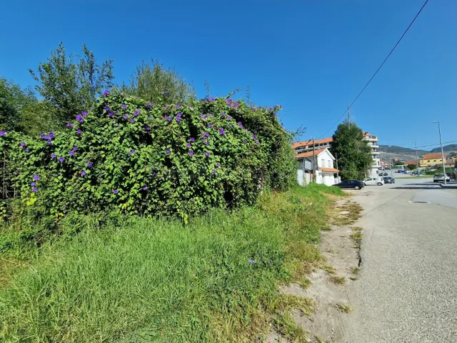 PARCELA EN VENTA EN REIBON - MOAÑA - foto 4