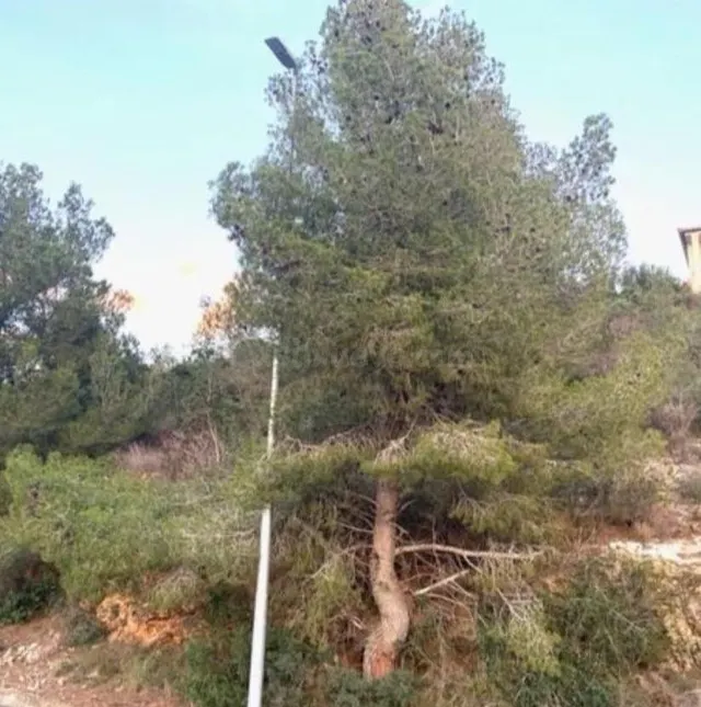 Parcela en venta en Segur de Calafell