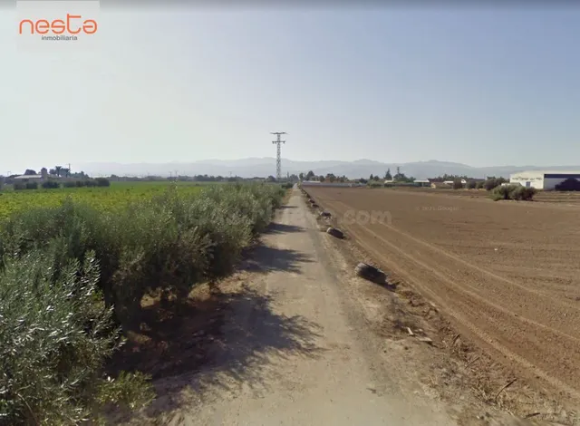 PARCELA EN LA HOYA CON 8.000 m2