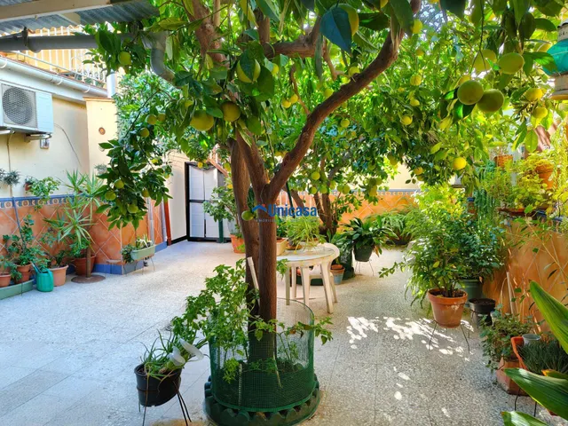 Casa mata en una sola planta con amplio garaje y precioso patio andaluz en el tomillar — 6