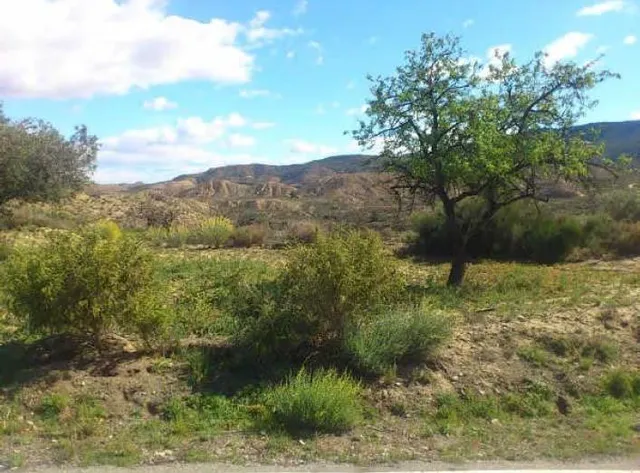 TERRENO RÚSTICO en Los Roques MURCIA — 4
