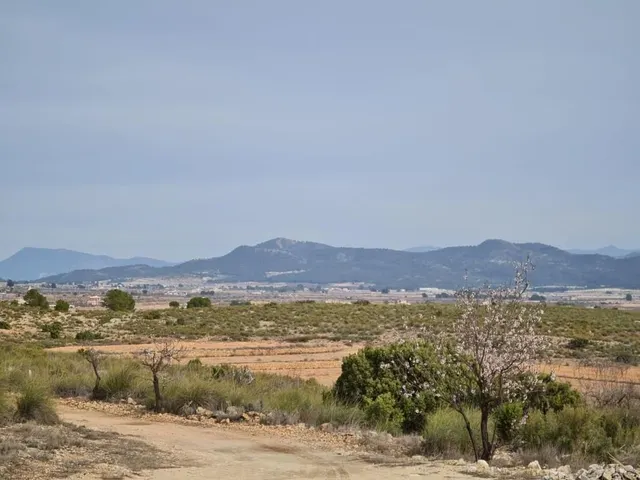 Casa 3 habitaciones 165m² en venta - Comunidad valenciana — 24