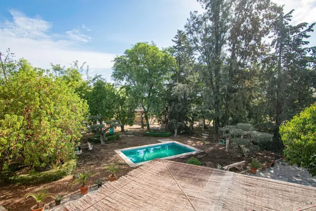 Espectacular finca en carretera mairena - almensilla !!! — 66