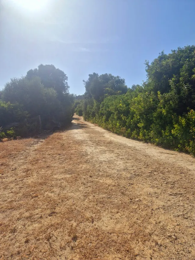 Tu refugio entre Vejer y el Atlántico — 11