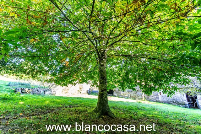 🏡 CASA para REFORMAR con 10.486 m2 de 🌿 TERRENO en LARACHA ( - foto 4
