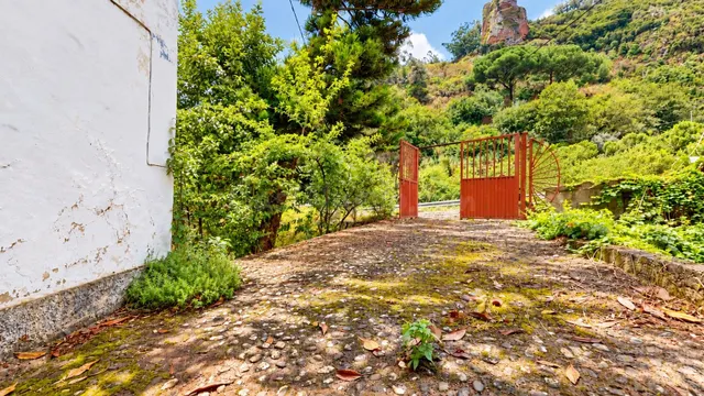 Finca con casa tradicional canaria y terreno de más de 12.000 m2 en Valsendero – Valleseco — 2