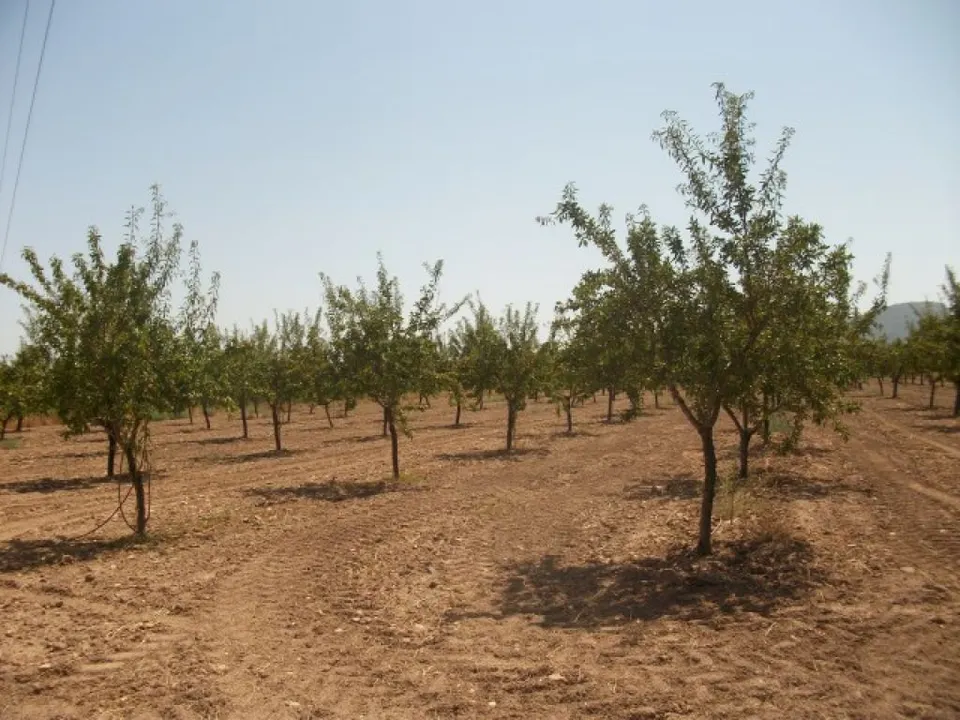 PARCELA CON AGUA
