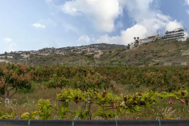 Finca con unas vistas de ensueño en Salobreña - foto 5