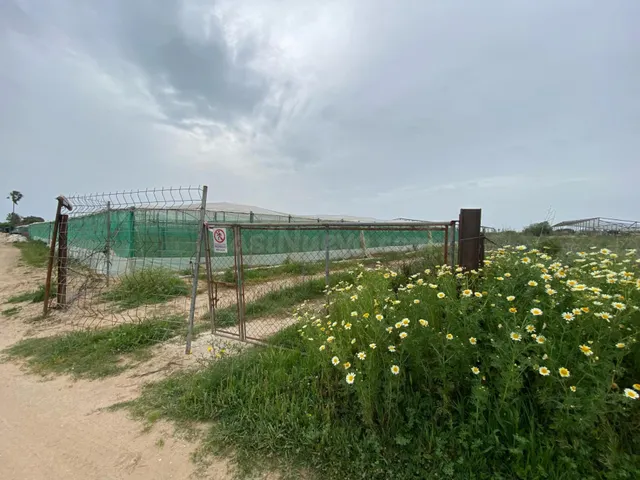 TERRENOS RÚSTICOS EN VENTA – LAS TRES PIEDRAS, CHIPIONA - foto 2