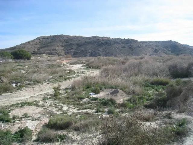SE VENDE PARCELA EN ZONA DE TRES HERMANAS EN ASPE - foto 2