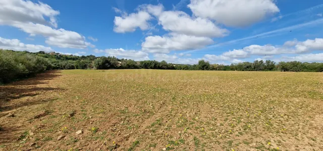 FINCA RUSTICA EN VENTA EN MANACOR - foto 2