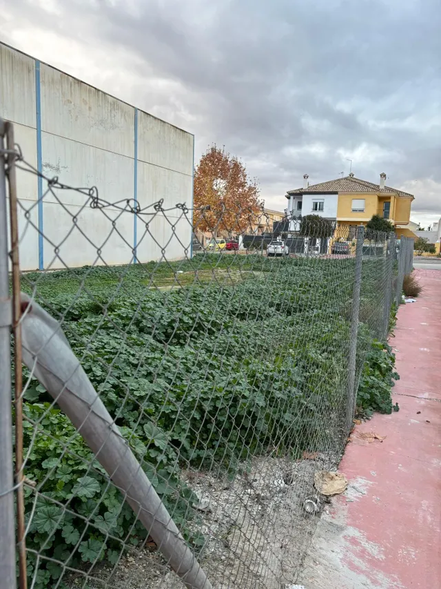 SOLAR INDUSTRIAL EN CIJUELA — 11