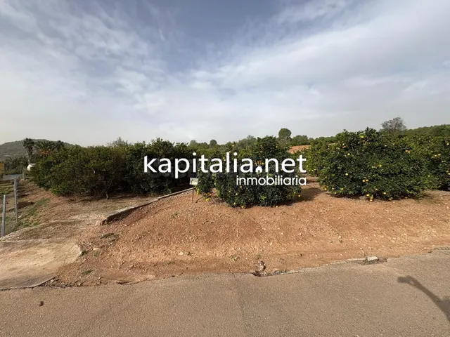 CAMPO DE NARANJOS A LA VENTA EN ROTGLA-CORBERA - foto 3