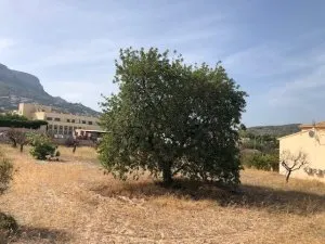 Parcela en venta - Calpe — 7