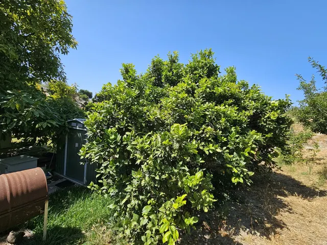 Chalet 2 habitaciones 200m² en venta - Costa Del Sol — 10