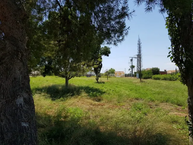 ESTUPENDA PARCELA DE 1800M EN ZONA DE LOS RAMOS/TORREAGUERA - foto 5