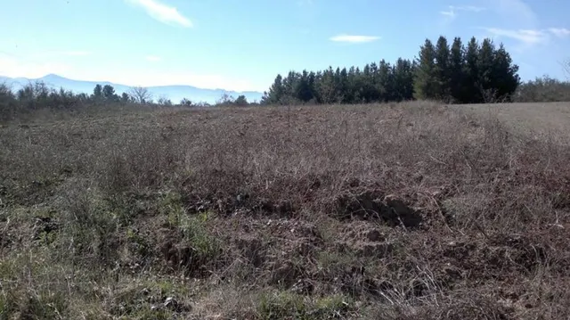 SE VENDE FINCA RUSTICA DE 3200 m2