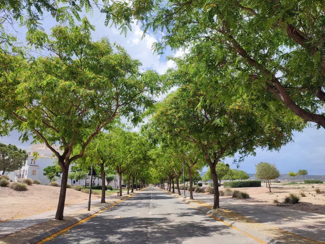 Apartamento 2 habitaciones en venta - SUCINA — 25