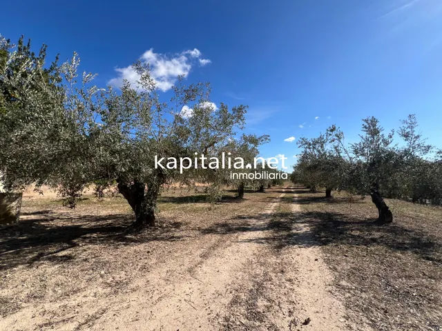 Casa de campo a la venta en Ontinyent — 21