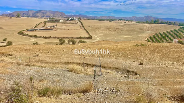 Parcela en venta - Can bosc 1 - foto 3