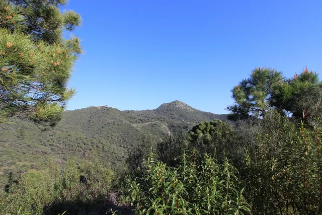 Parcela exclusiva con vistas al Mediterráneo en Benahavís — 19