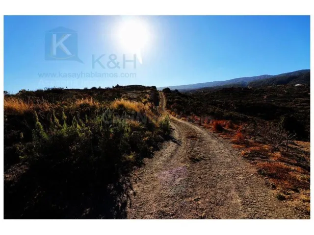 Gran terreno con huertas descansadas en Güimar — 18