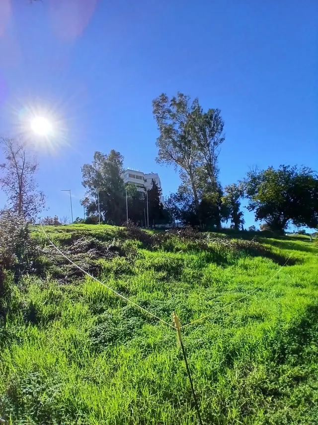 Terreno edificable con licencia en Guadalmina Marbella — 6