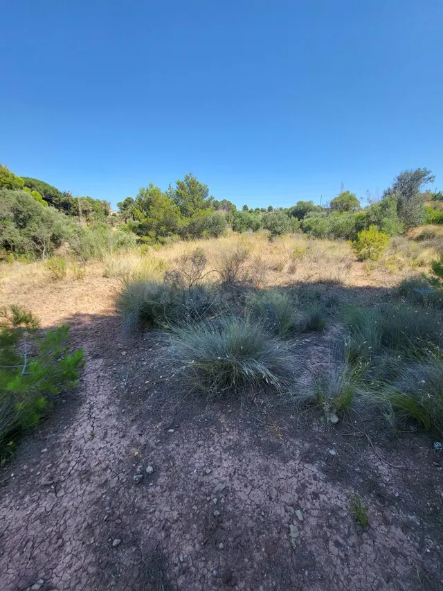 Parcela en Venta en La Nucía - Zona Bello Horizonte - foto 5